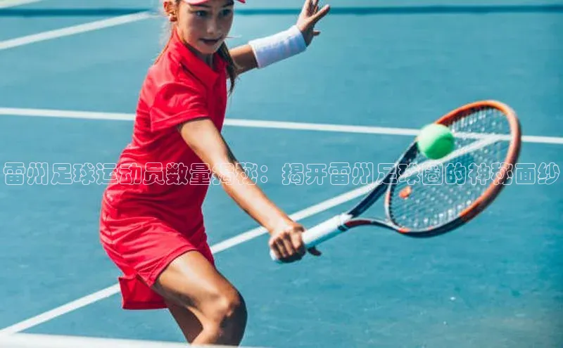 球速体育官方入口百度游戏开放平台雷州足球运动员数量揭秘：揭开雷州足球圈的神秘面纱