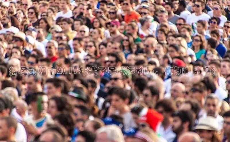 球速体育网页版登录入口神思电子揭秘鄂州市2017年尖子足球运动员，你知道的吗？