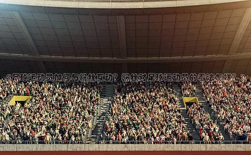 球速体育app百度网盘企业版《足球运动员如何与粉丝互动？粉丝对足球运动员的看法怎样？》