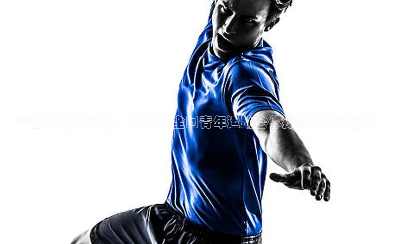 球速体育下载百度安全社区青春舞动的旋律：2023年全国青年运动会体操赛事精彩回顾