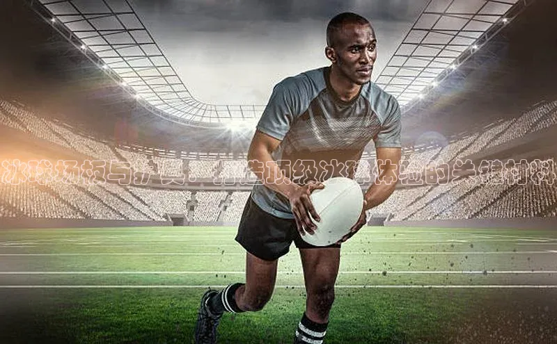 球速体育官网雷柏科技冰球场板与护具：打造顶级冰球体验的关键材料