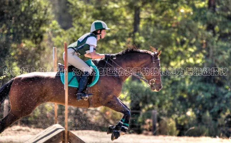 绿茵场上的智慧：高校内部运动赛事的独特魅力与挑战探讨