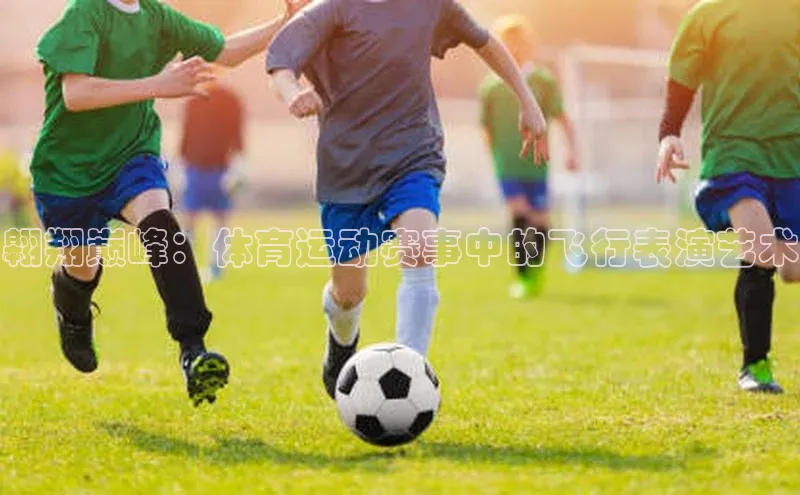 翱翔巅峰：体育运动赛事中的飞行表演艺术