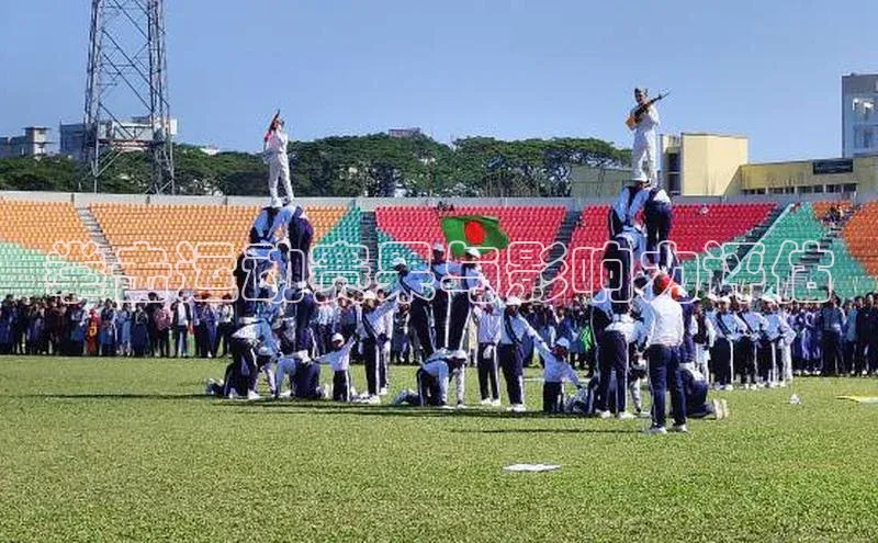 拳击运动赛果与影响力评估