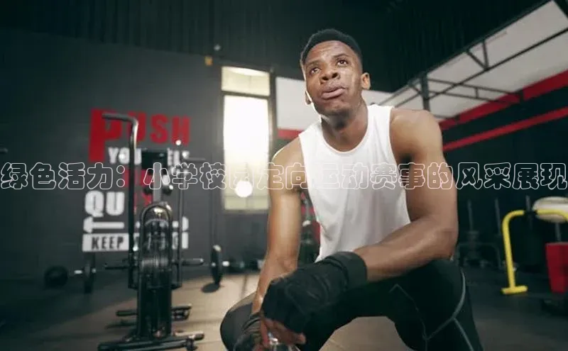 绿色活力：小学校园定向运动赛事的风采展现