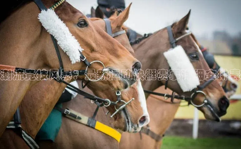 潮流竞技风暴：最新运动快艇赛事详细安排表