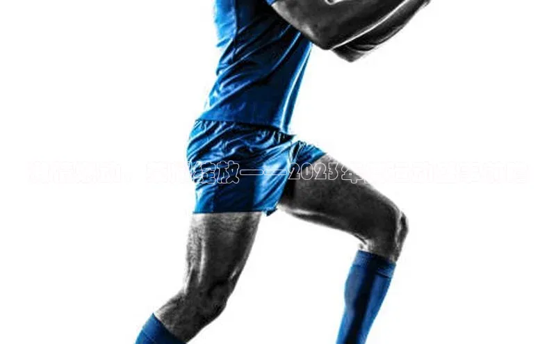 激情燃动，荣耀绽放——2023年度运动盛事前瞻