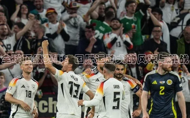 全球顶级赛事：国际运动犬的风采与挑战