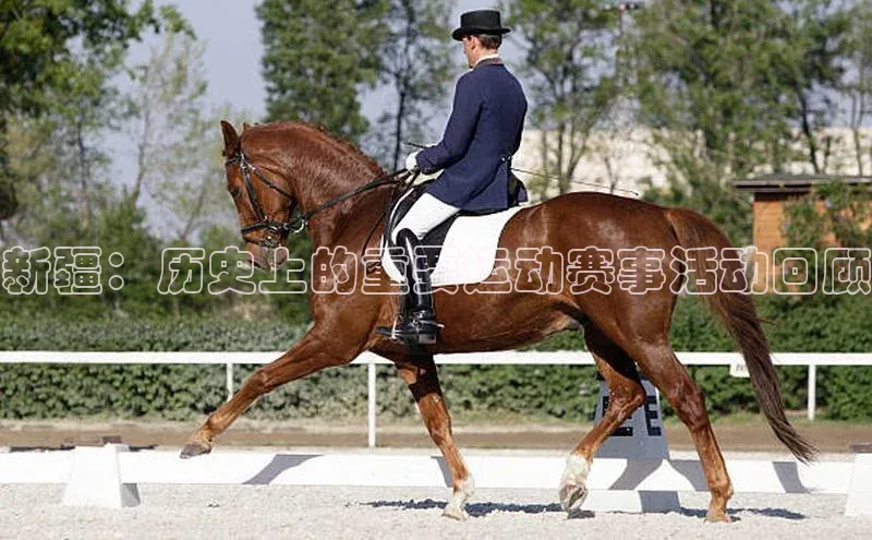 新疆：历史上的重要运动赛事活动回顾