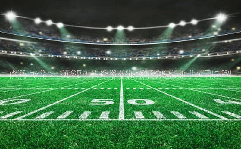 闽韵飞扬：2023福建省运动会精彩赛事回顾与展望