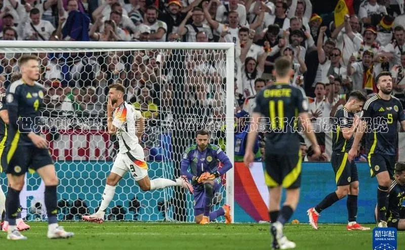 世界顶尖运动盛事：2023年国际最新体育赛事概览