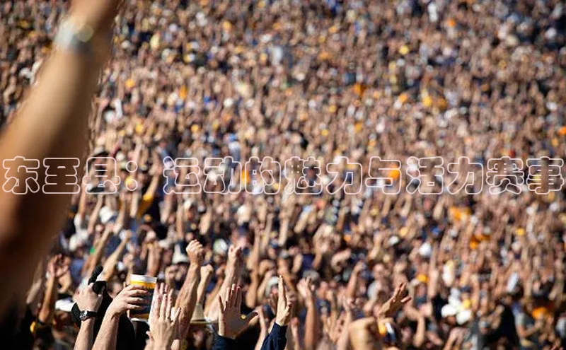 球速体育app下载