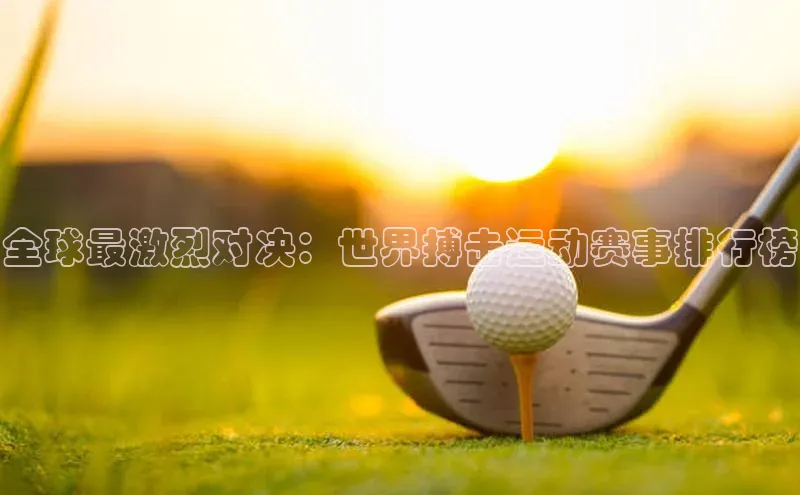 全球最激烈对决：世界搏击运动赛事排行榜