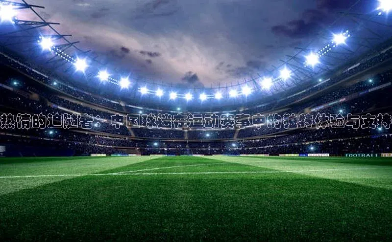 热情的追随者：中国球迷在运动赛事中的独特体验与支持