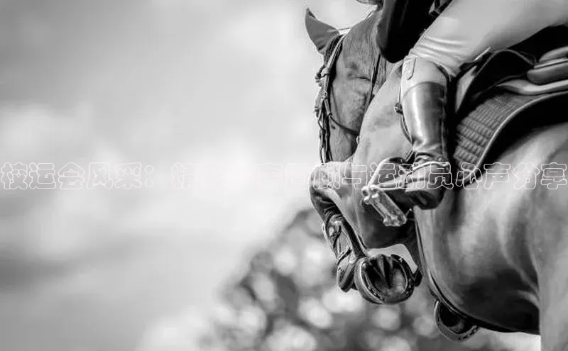 校运会风采：精彩赛事回顾与运动员心声分享